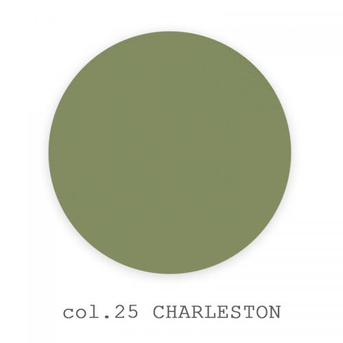 25 - Charleston