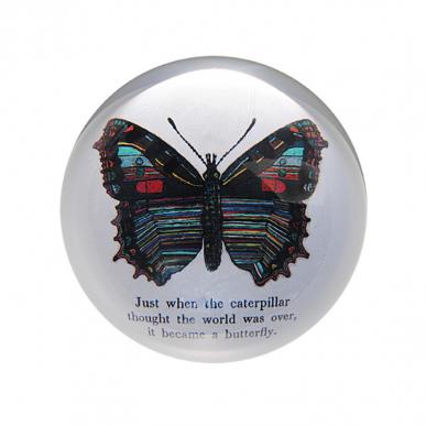 Butterfly Paperweight