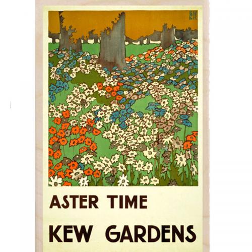Aster Time